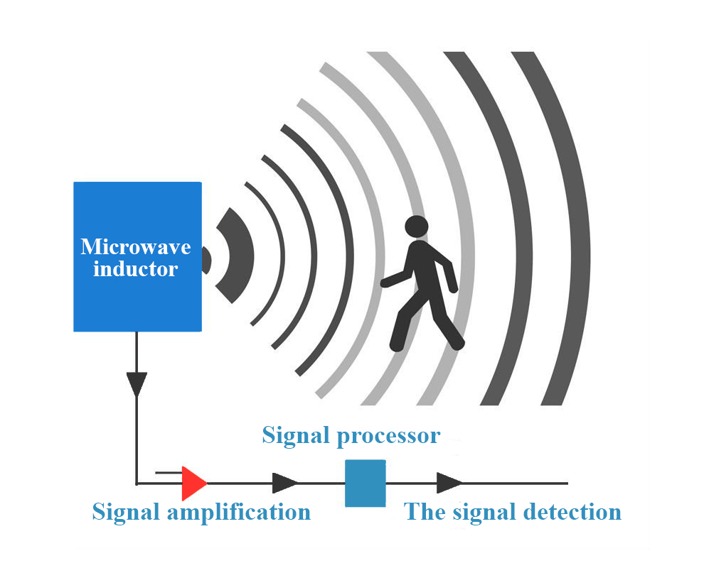 motion sensor Signal Processing