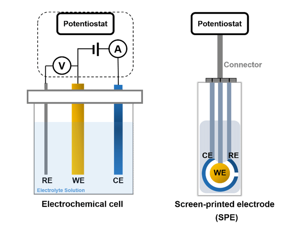 electrochemical biosensors
